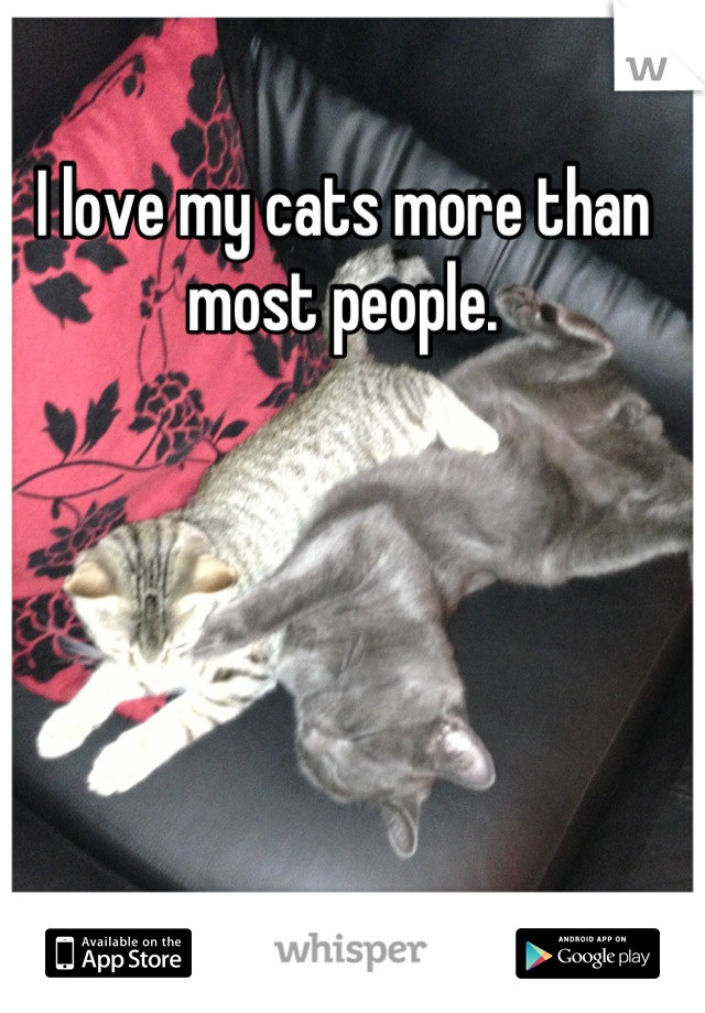 I love my cats more than most people.