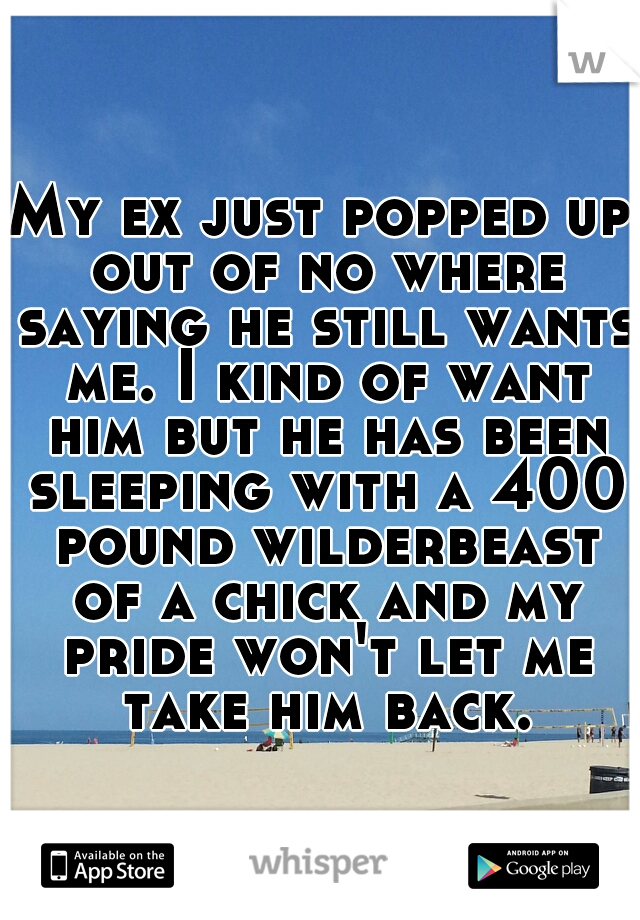 My ex just popped up out of no where saying he still wants me. I kind of want him but he has been sleeping with a 400 pound wilderbeast of a chick and my pride won't let me take him back.