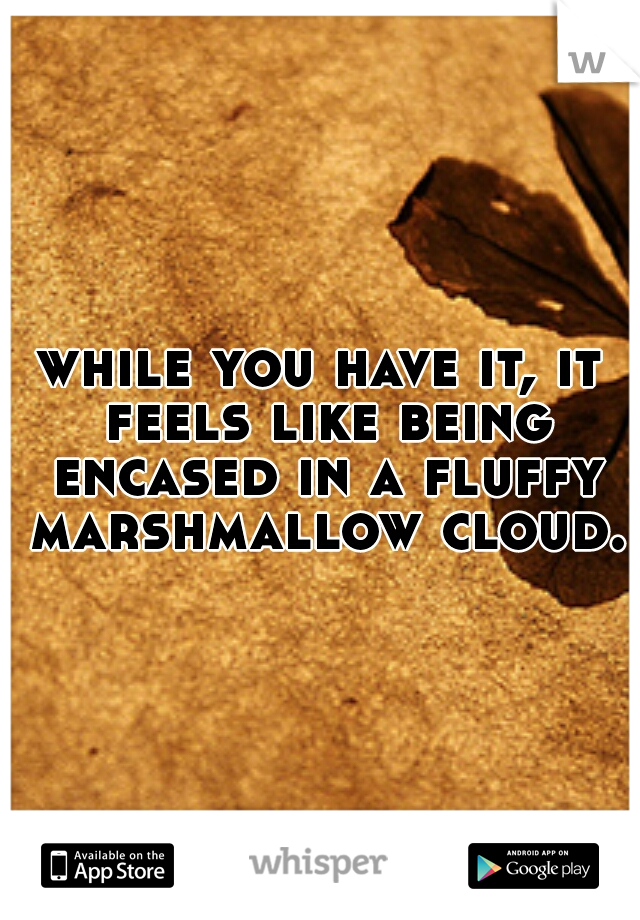 while you have it, it feels like being encased in a fluffy marshmallow cloud.