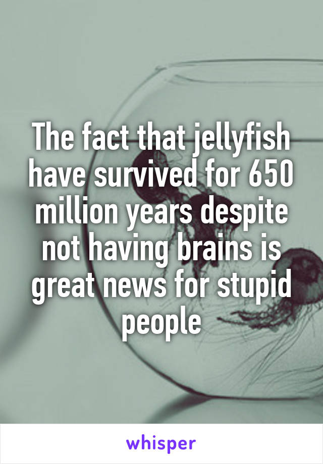 The fact that jellyfish have survived for 650 million years despite not having brains is great news for stupid people
