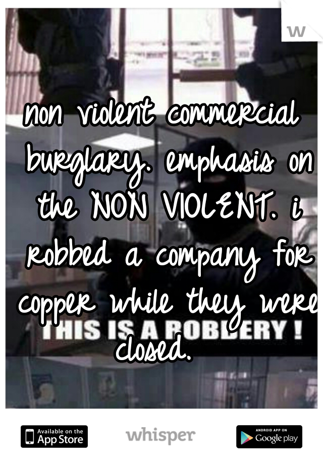non violent commercial burglary. emphasis on the NON VIOLENT. i robbed a company for copper while they were closed.  