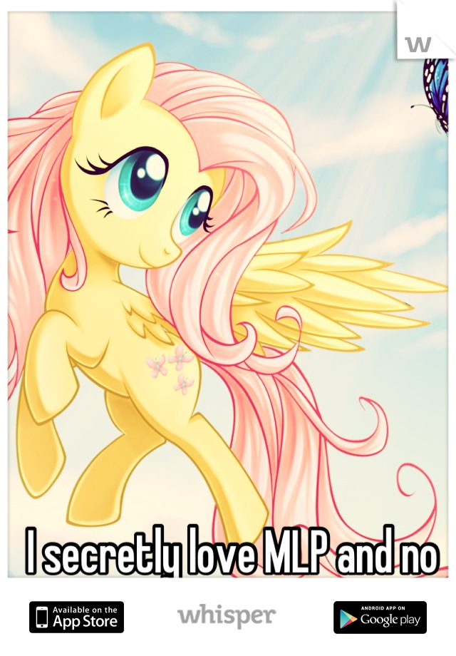 I secretly love MLP and no one knows. 