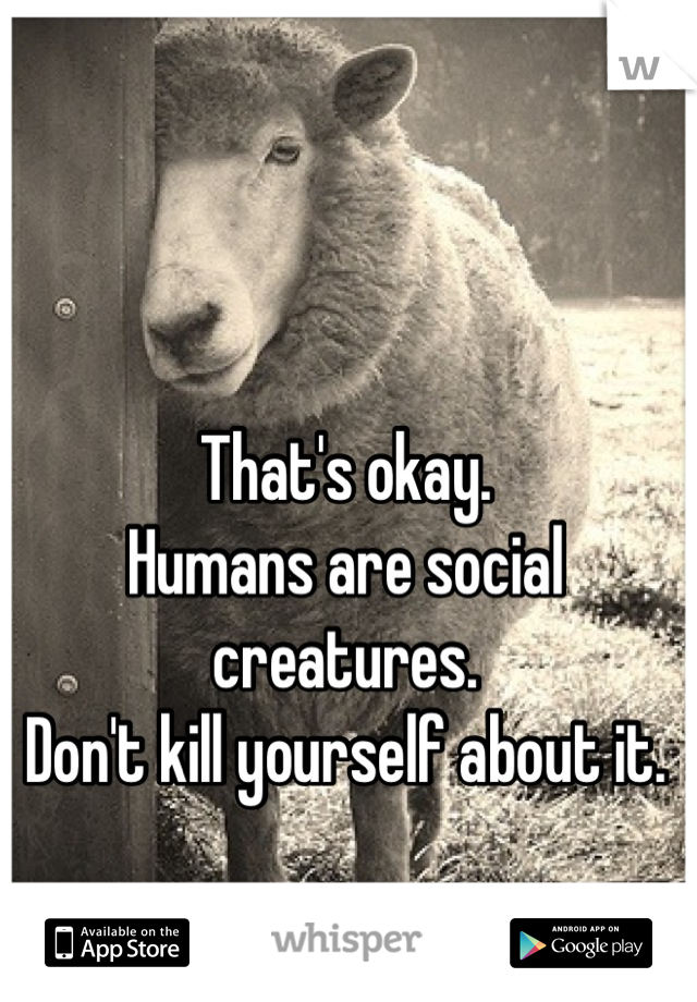 That's okay.
Humans are social creatures.
Don't kill yourself about it.
