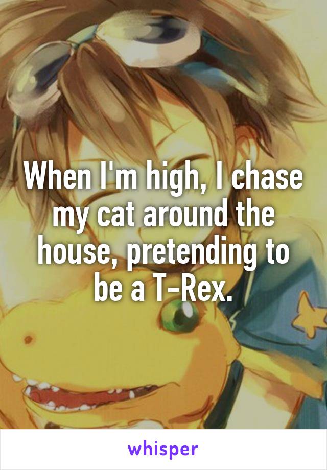 When I'm high, I chase my cat around the house, pretending to be a T-Rex.