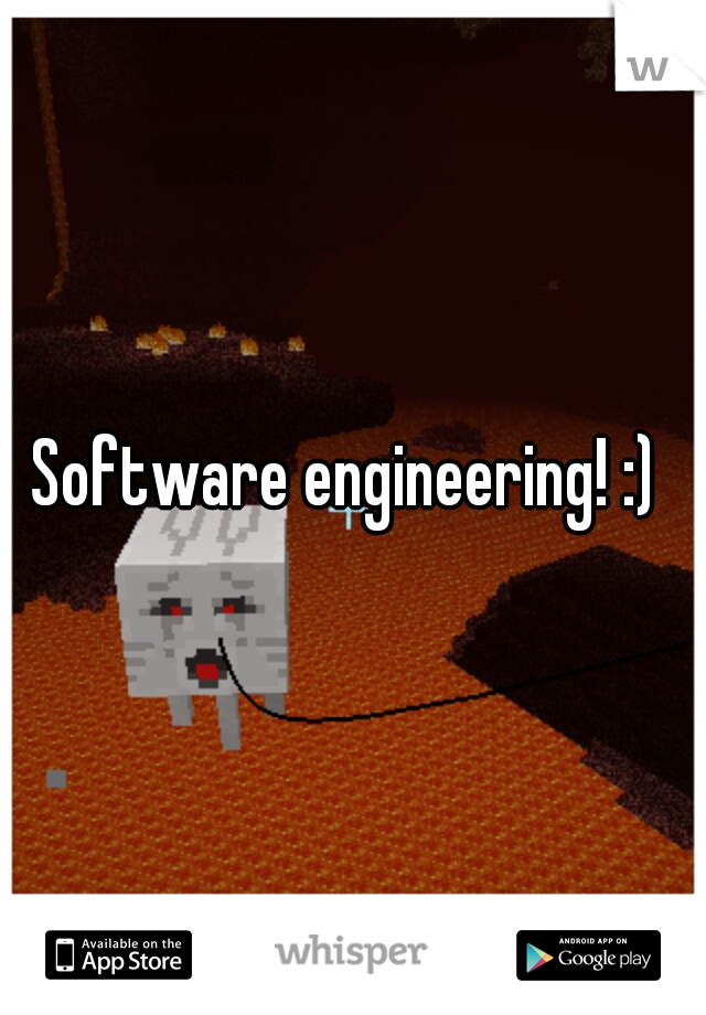 Software engineering! :) 