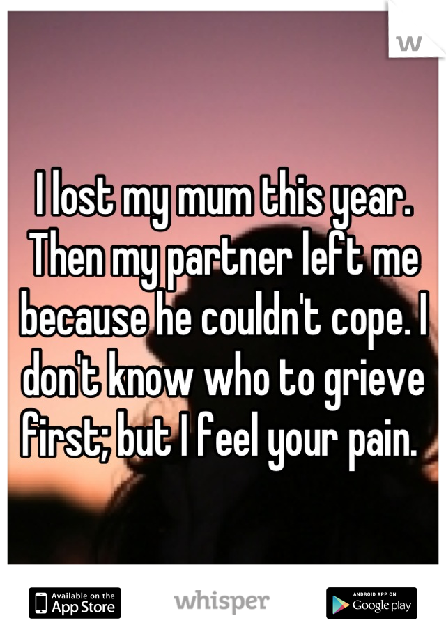 I lost my mum this year. Then my partner left me because he couldn't cope. I don't know who to grieve first; but I feel your pain. 
