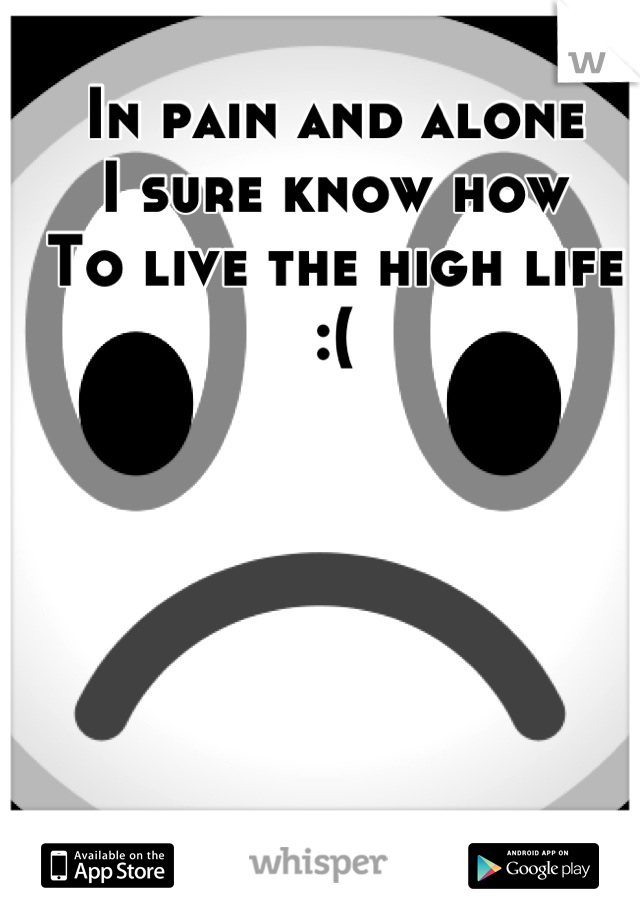In pain and alone
I sure know how
To live the high life
:(