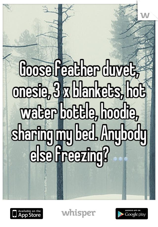Goose feather duvet, onesie, 3 x blankets, hot water bottle, hoodie, sharing my bed. Anybody else freezing? ❄❄❄