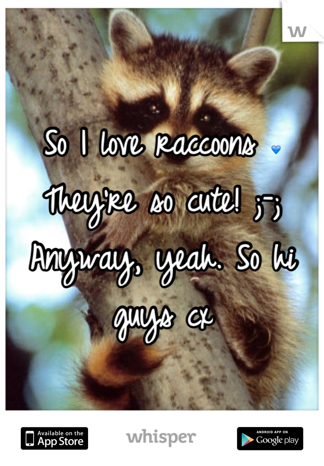 So I love raccoons 💙 They're so cute! ;-; Anyway, yeah. So hi guys cx