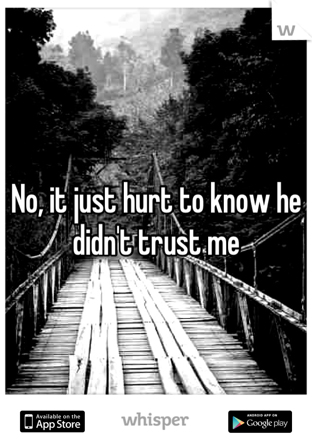 No, it just hurt to know he didn't trust me