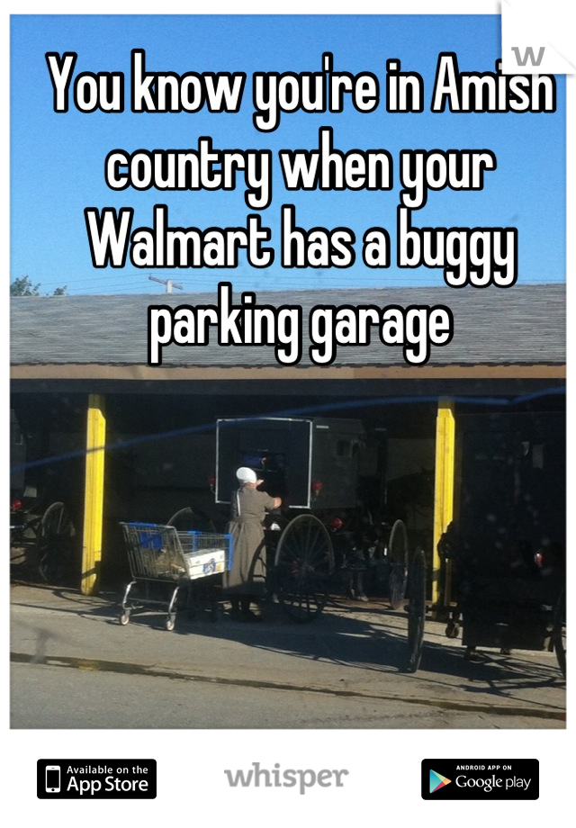 You know you're in Amish country when your Walmart has a buggy parking garage