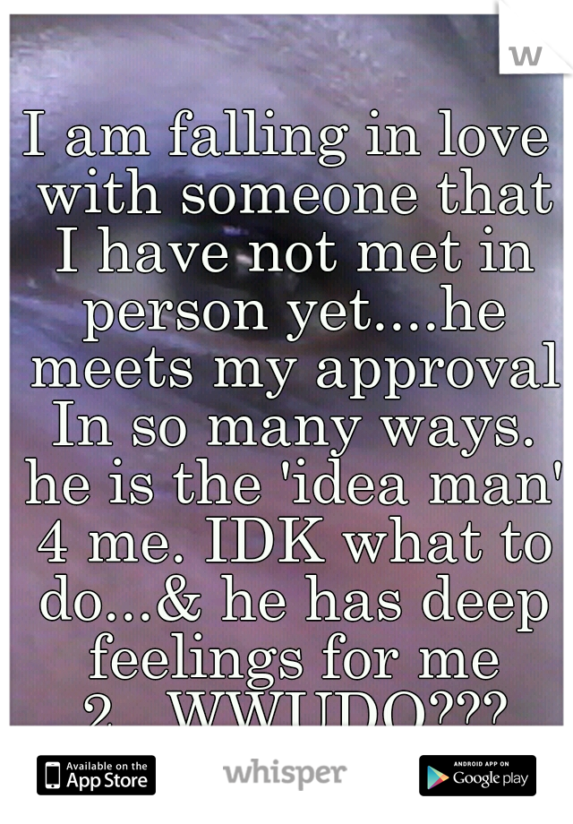 I am falling in love with someone that I have not met in person yet....he meets my approval In so many ways. he is the 'idea man' 4 me. IDK what to do...& he has deep feelings for me 2...WWUDO???