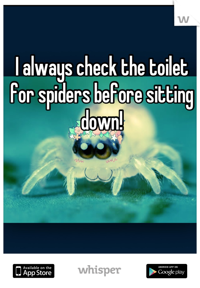 I always check the toilet for spiders before sitting down!