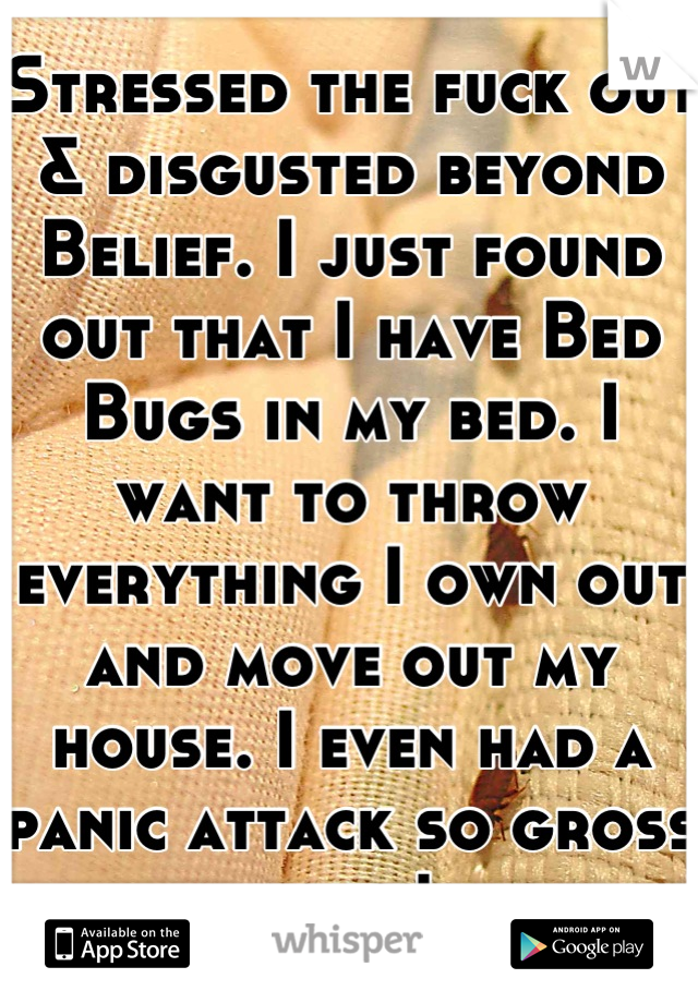 Stressed the fuck out & disgusted beyond   Belief. I just found out that I have Bed Bugs in my bed. I want to throw everything I own out and move out my house. I even had a panic attack so gross yuck!