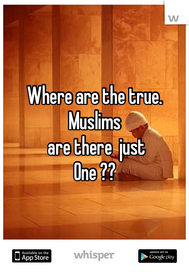 Where are the true.  
Muslims 
 are there  just 
One ??