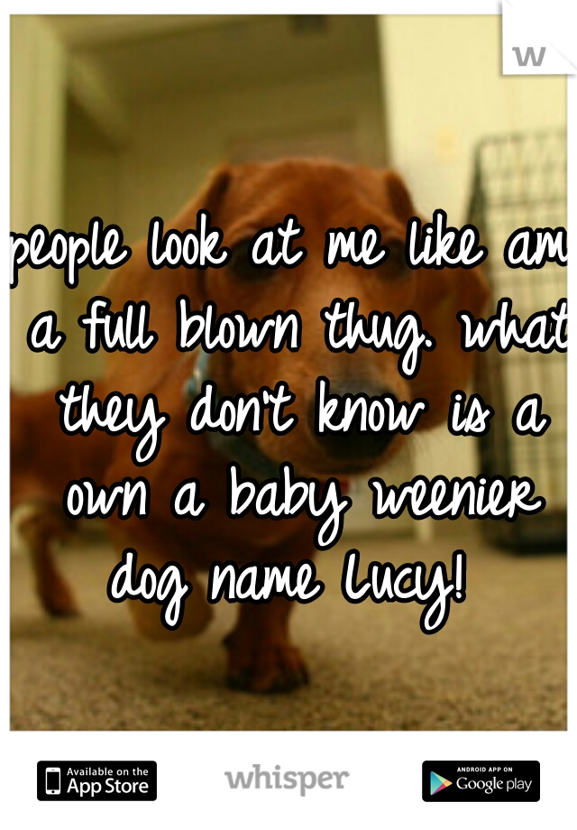 people look at me like am a full blown thug. what they don't know is a own a baby weenier dog name Lucy! 
