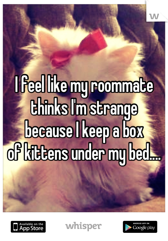 I feel like my roommate
thinks I'm strange
because I keep a box
of kittens under my bed....