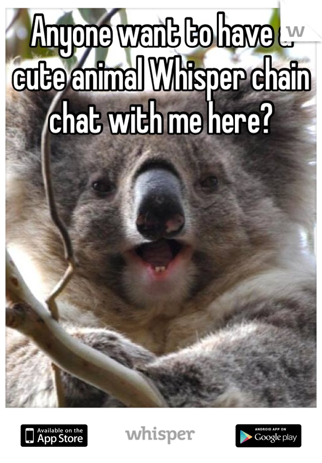 Anyone want to have a cute animal Whisper chain chat with me here? 








