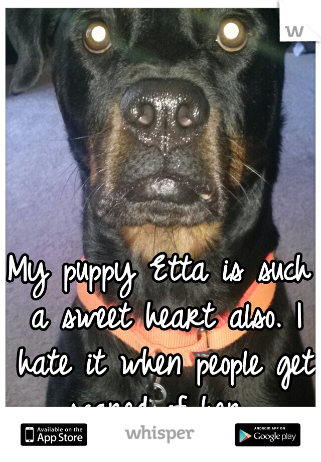 My puppy Etta is such a sweet heart also. I hate it when people get scared of her. 