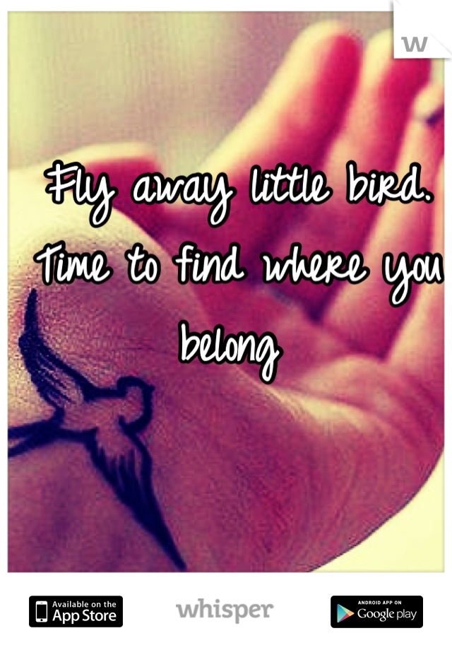 Fly away little bird.
Time to find where you belong 
