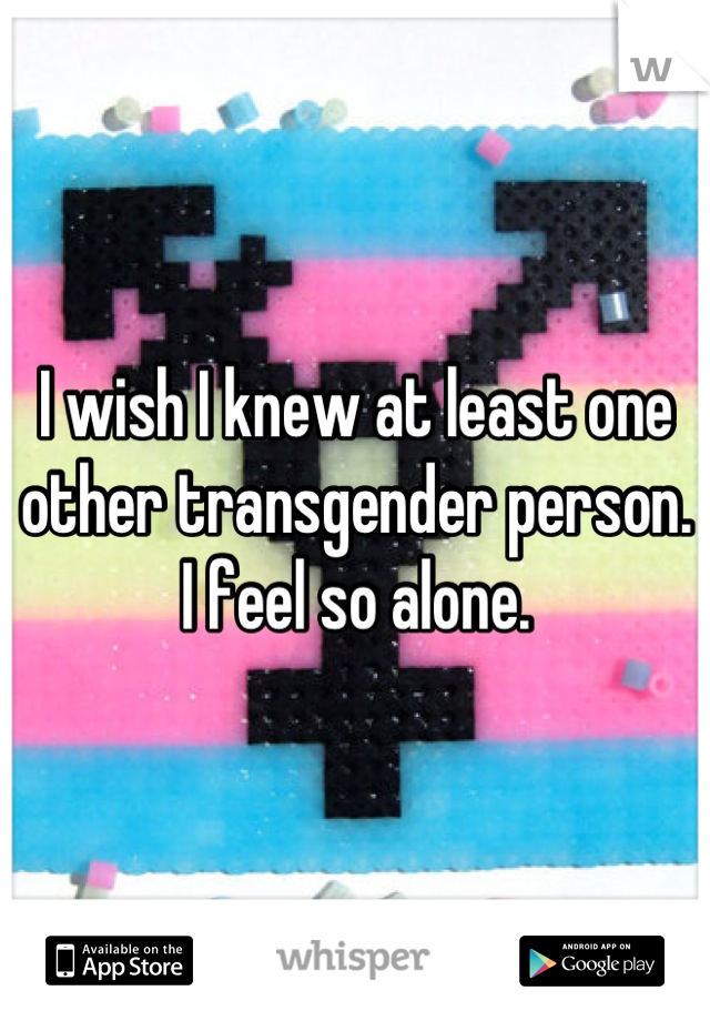 I wish I knew at least one other transgender person. I feel so alone.