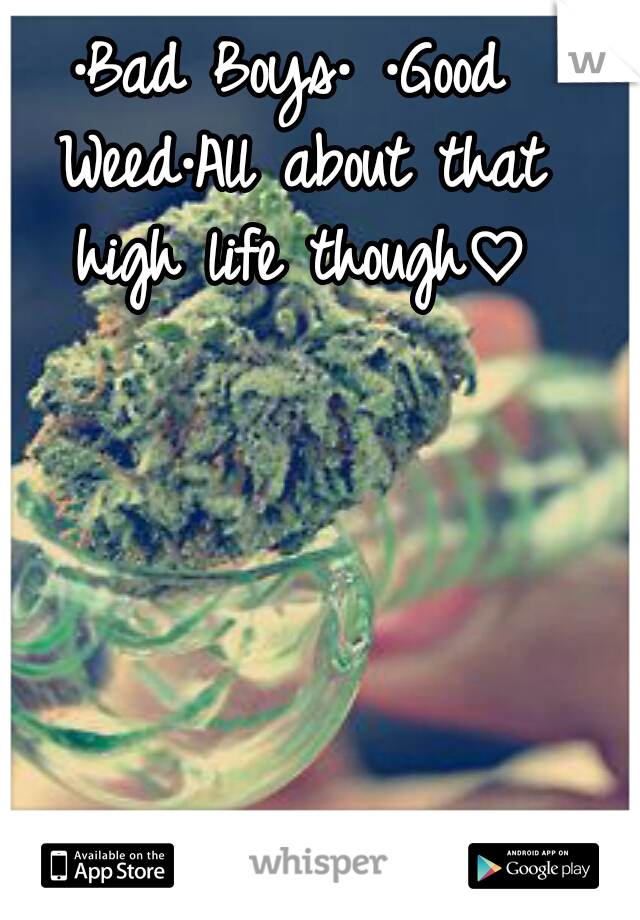 ·Bad Boys·
·Good Weed·All about that high life though♡
