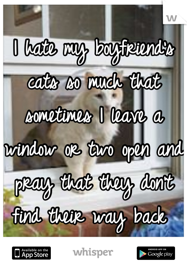 I hate my boyfriend's cats so much that sometimes I leave a window or two open and pray that they don't find their way back 