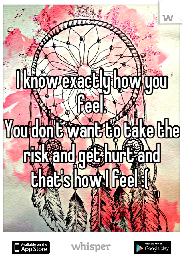 I know exactly how you feel. 
You don't want to take the risk and get hurt and that's how I feel :( 