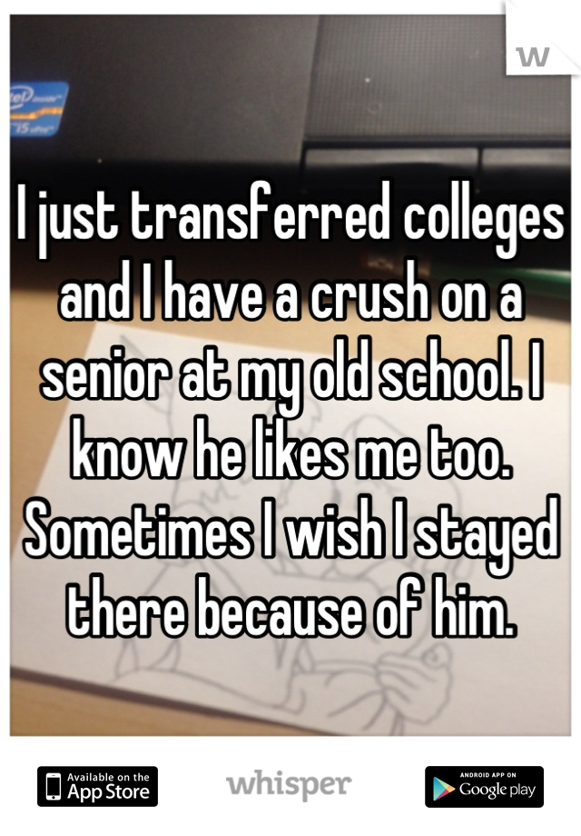 I just transferred colleges and I have a crush on a senior at my old school. I know he likes me too. Sometimes I wish I stayed there because of him.