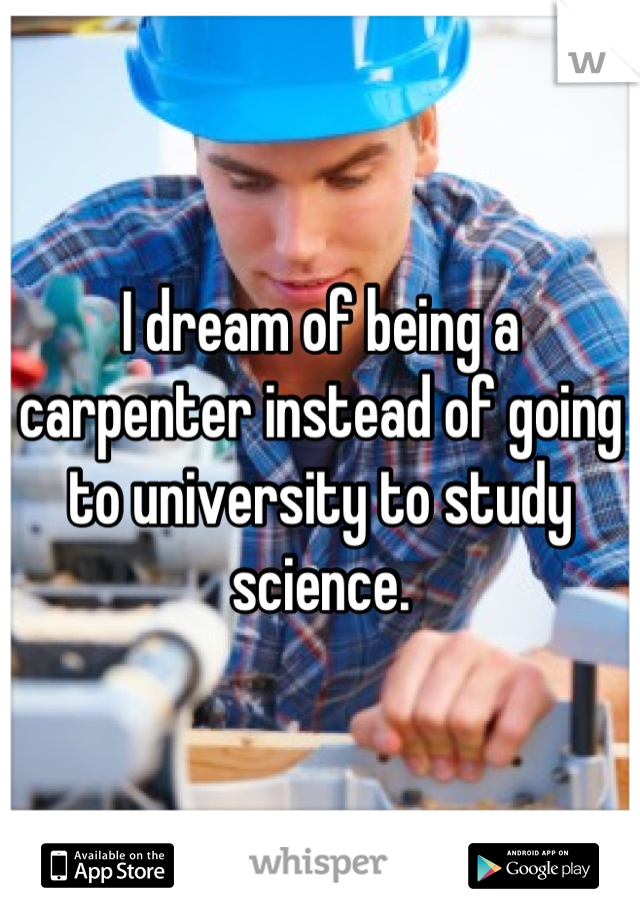 I dream of being a carpenter instead of going to university to study science.