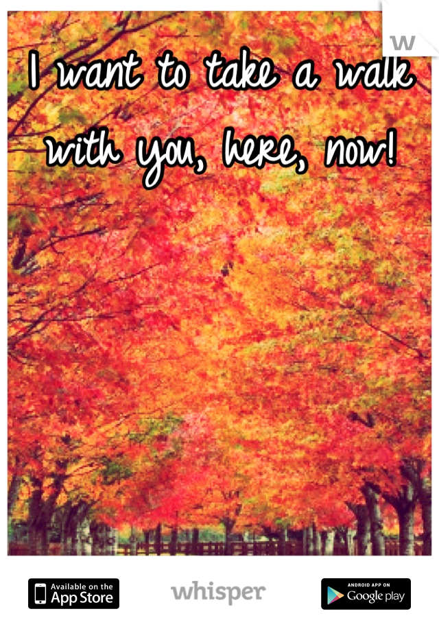 I want to take a walk with you, here, now!
