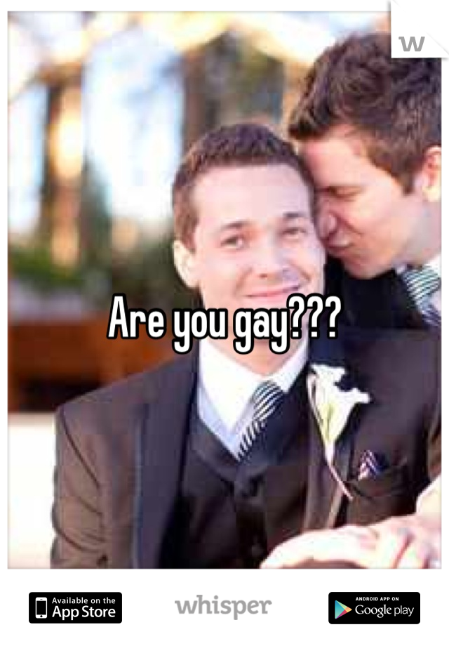 Are you gay???