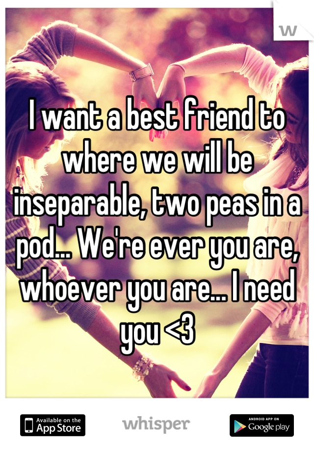 I want a best friend to where we will be inseparable, two peas in a pod... We're ever you are, whoever you are... I need you <3