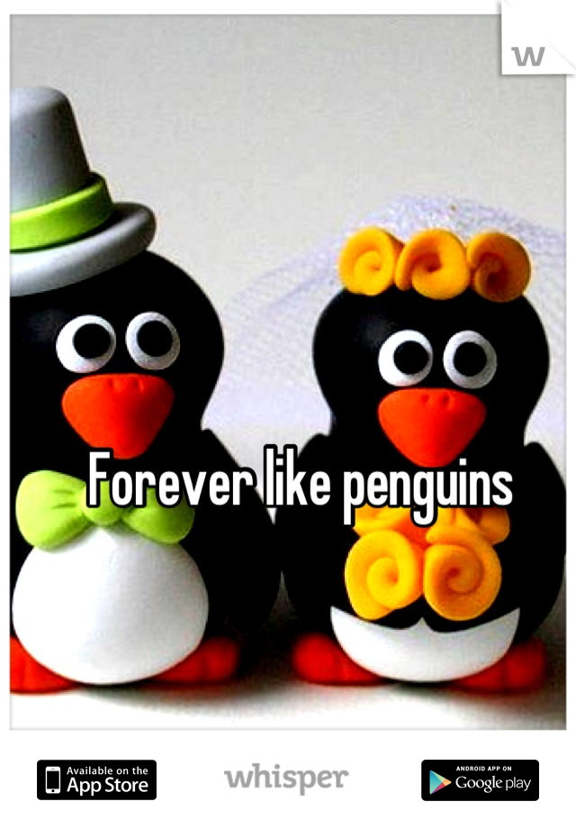 Forever like penguins