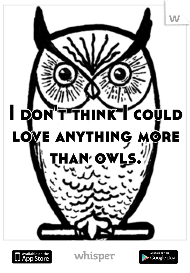 I don't think I could love anything more than owls.