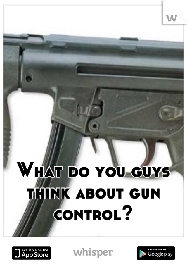 What do you guys think about gun control?