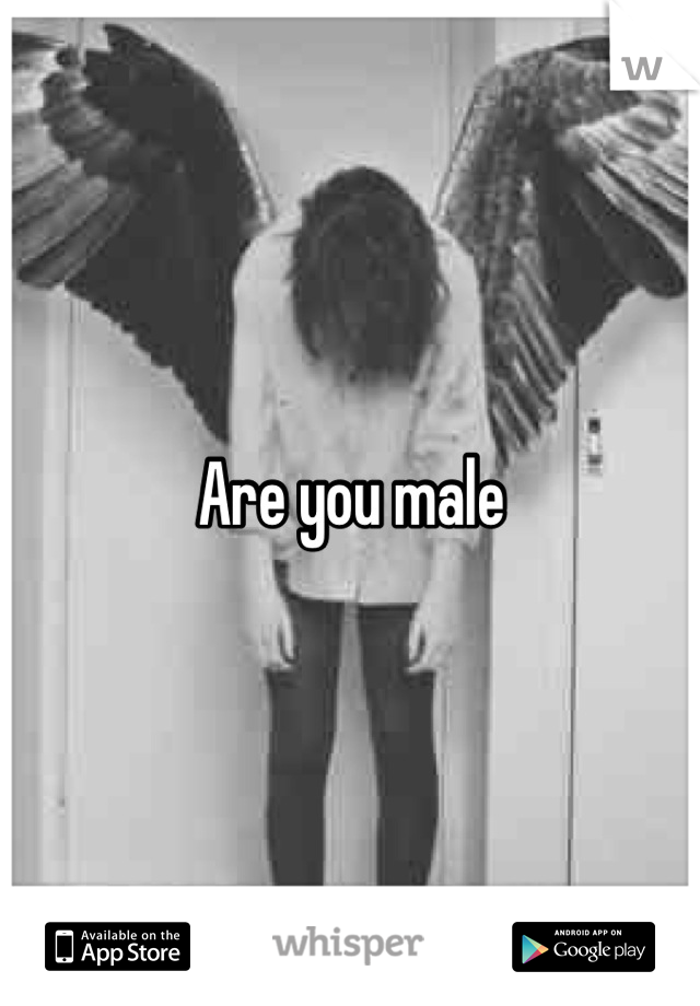 Are you male