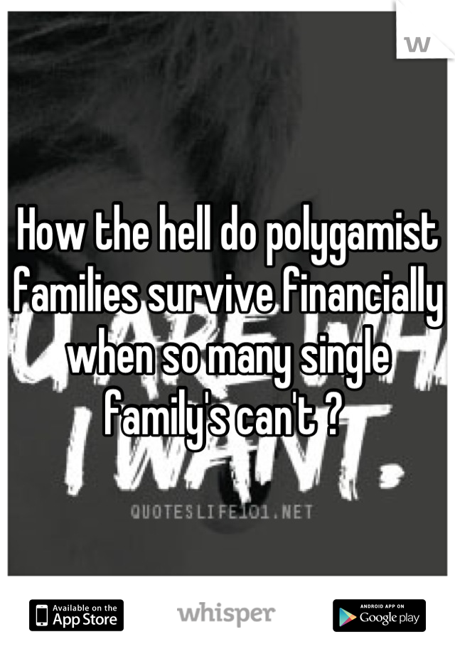 How the hell do polygamist families survive financially when so many single family's can't ? 