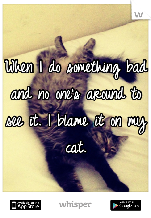 When I do something bad and no one's around to see it. I blame it on my cat.