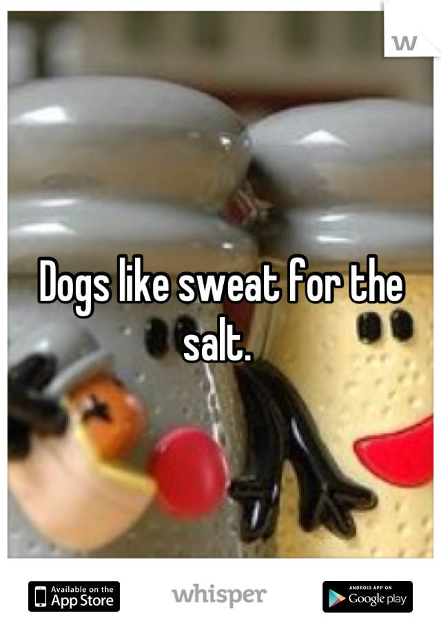 Dogs like sweat for the salt. 