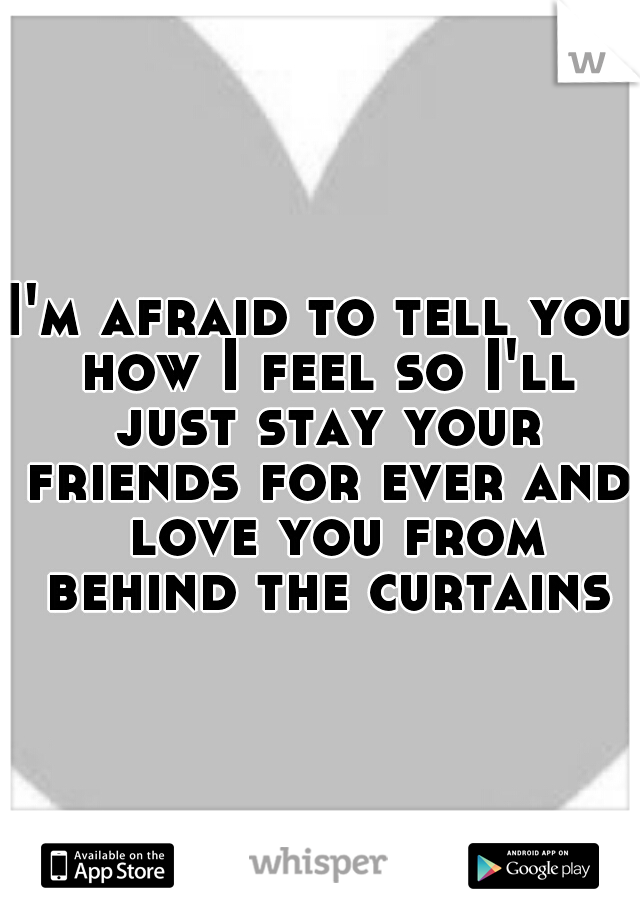 I'm afraid to tell you how I feel so I'll just stay your friends for ever and  love you from behind the curtains