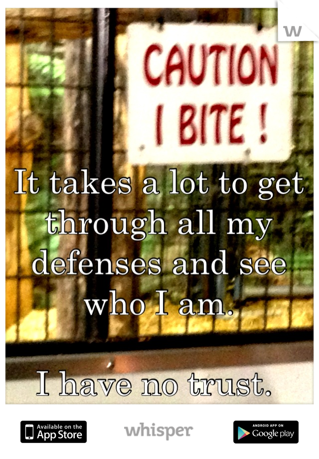 It takes a lot to get through all my defenses and see who I am.  

I have no trust. 