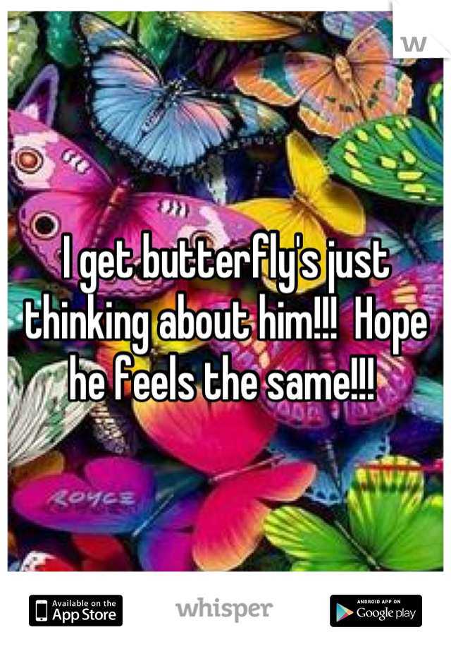 I get butterfly's just thinking about him!!!  Hope he feels the same!!! 