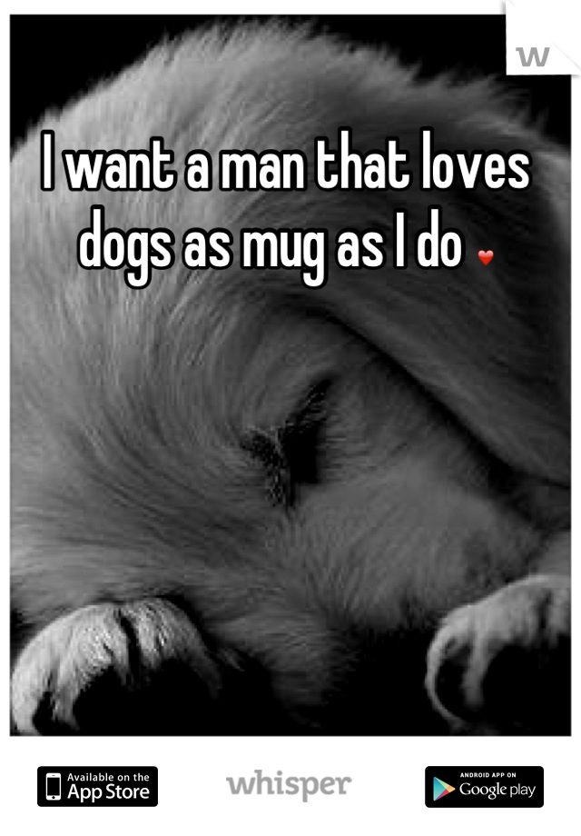 I want a man that loves dogs as mug as I do ❤