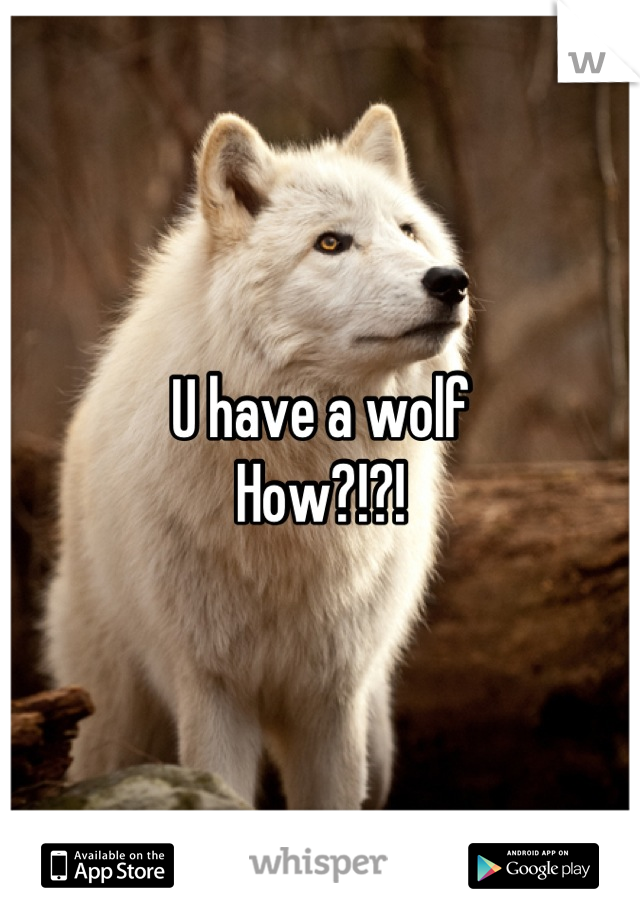U have a wolf 
How?!?!