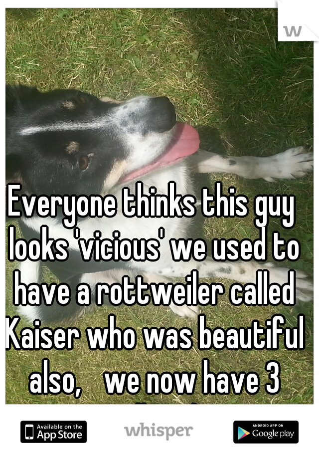 Everyone thinks this guy looks 'vicious' we used to have a rottweiler called Kaiser who was beautiful also, 
we now have 3 collies :)