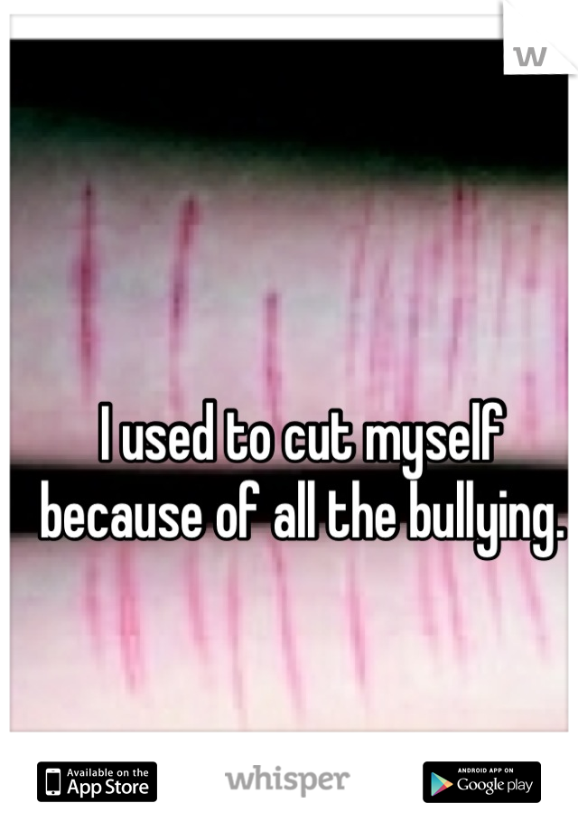 I used to cut myself because of all the bullying.