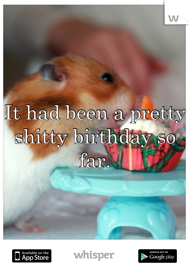 It had been a pretty shitty birthday so far.