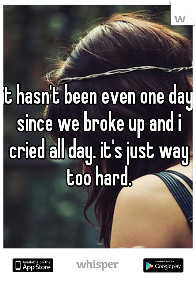 it hasn't been even one day since we broke up and i cried all day. it's just way too hard.