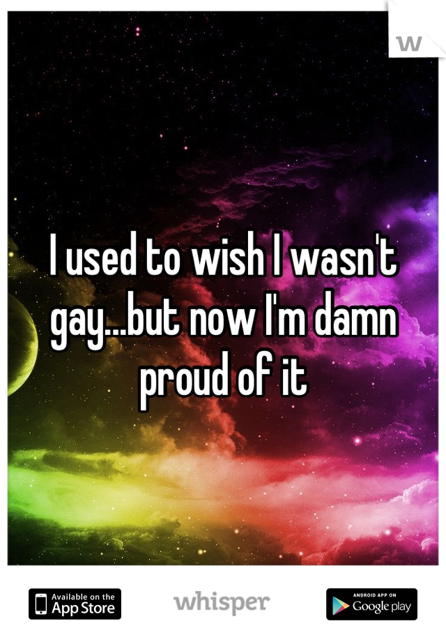 I used to wish I wasn't gay...but now I'm damn proud of it